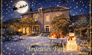 Maison 9 Pièces 352 m² à vendre à Vesdun (18360)