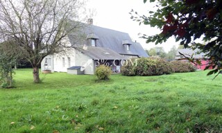 Photo N° 4