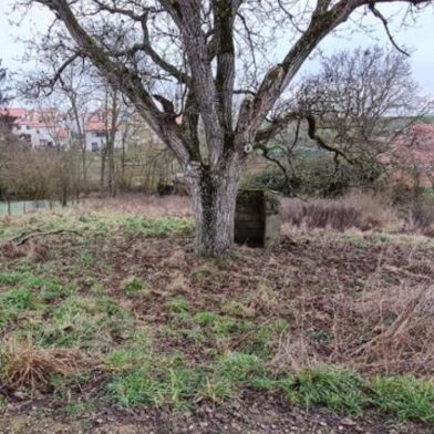 Terrain  49000 €