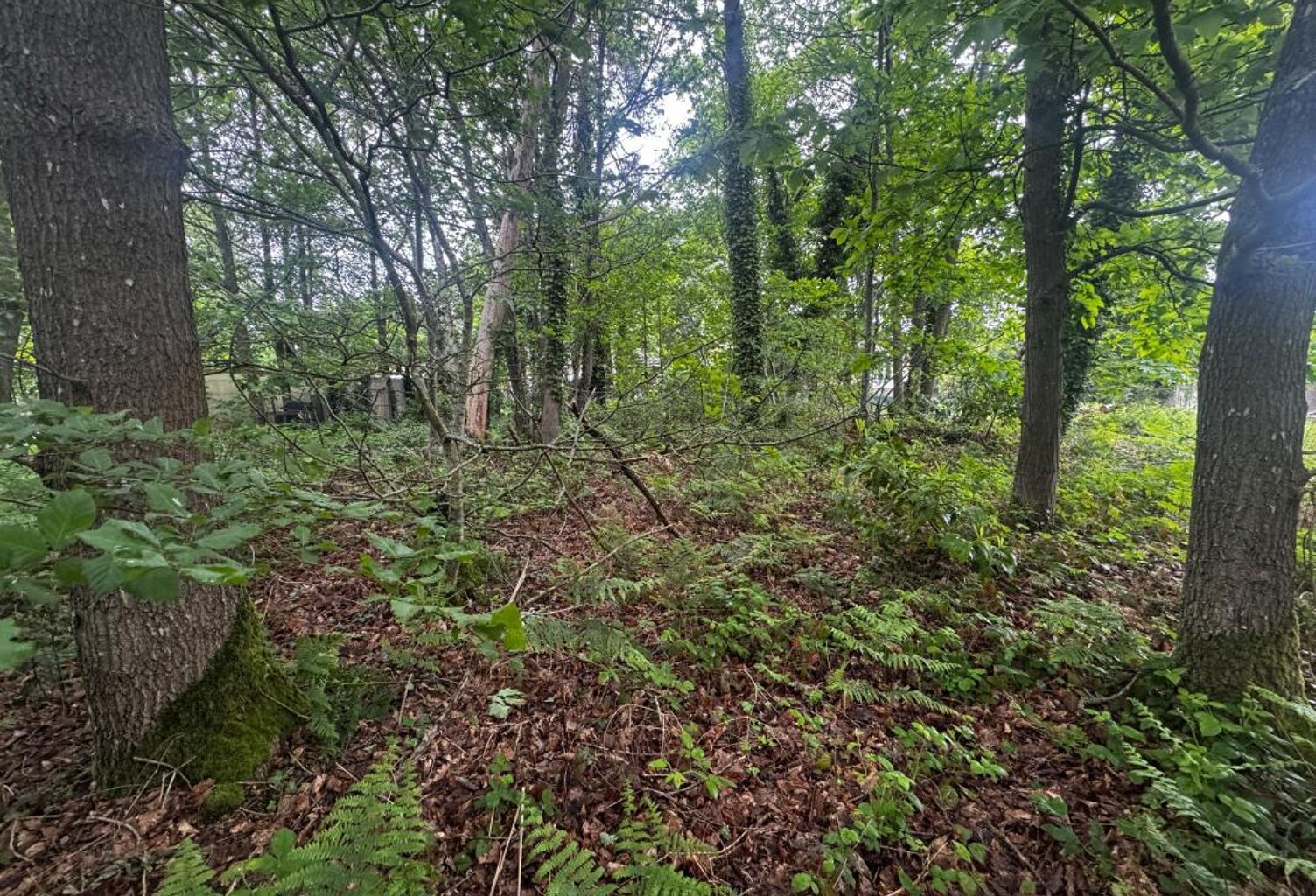 Terrain À Vendre — photo 1