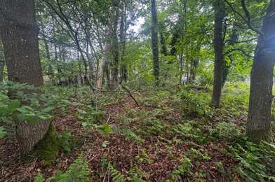Terrain  31000 €