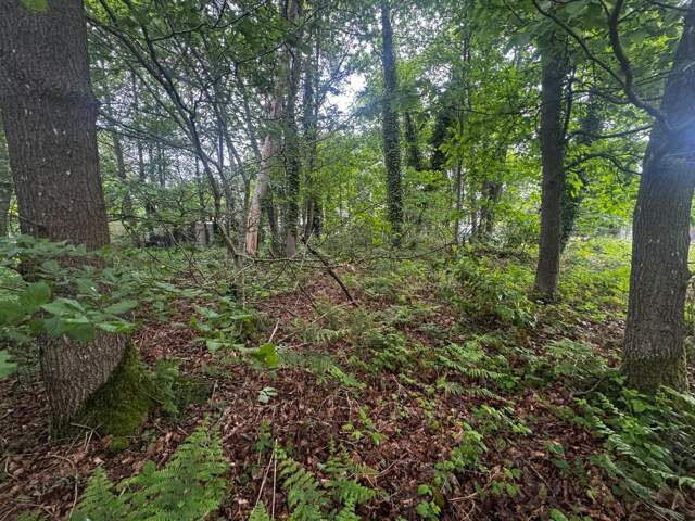 Terrain À Vendre — photo du bien