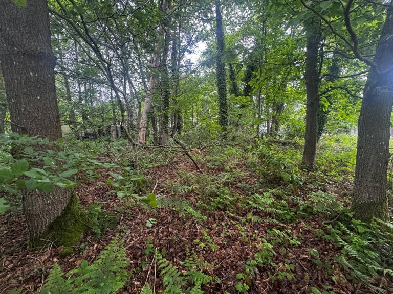 Terrain À Vendre — photo 1