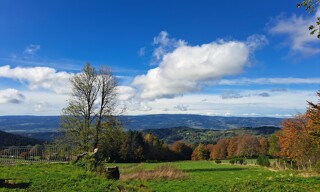 Photo N° 6