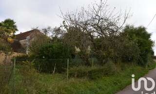 Photo N° 5