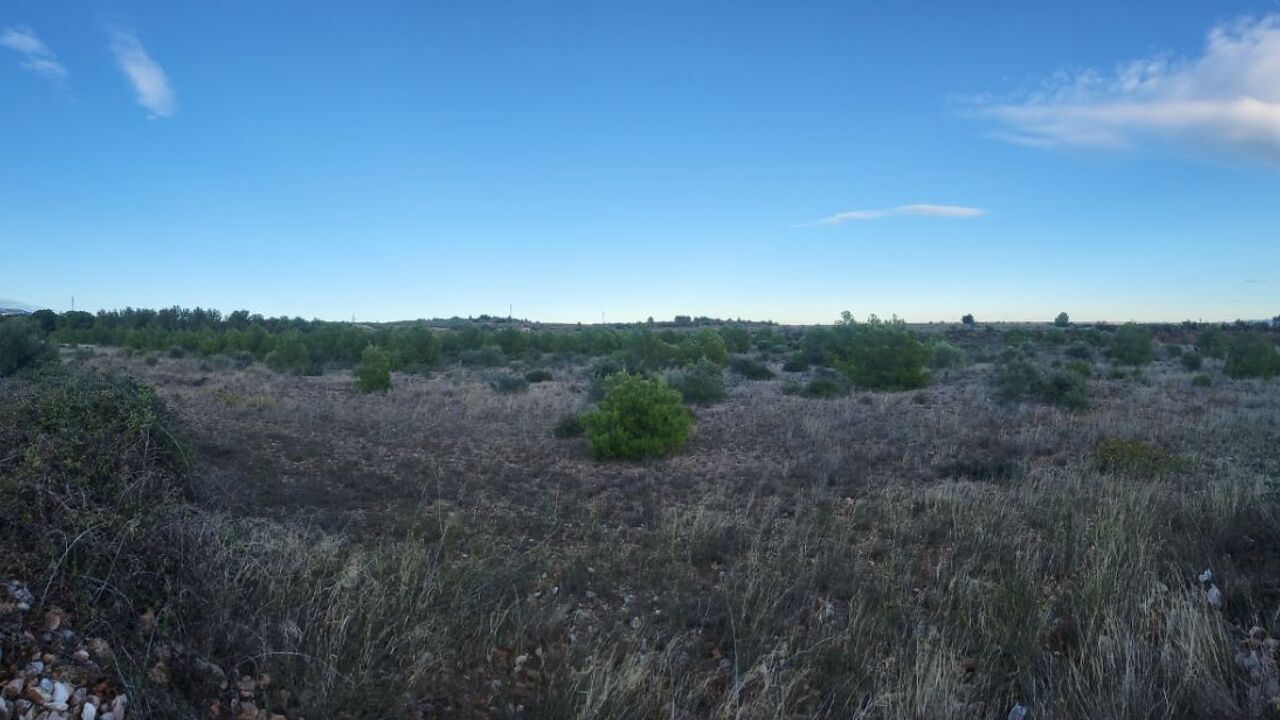 terrain  pièces 21840 m2 à vendre à Salses-le-Château (66600)