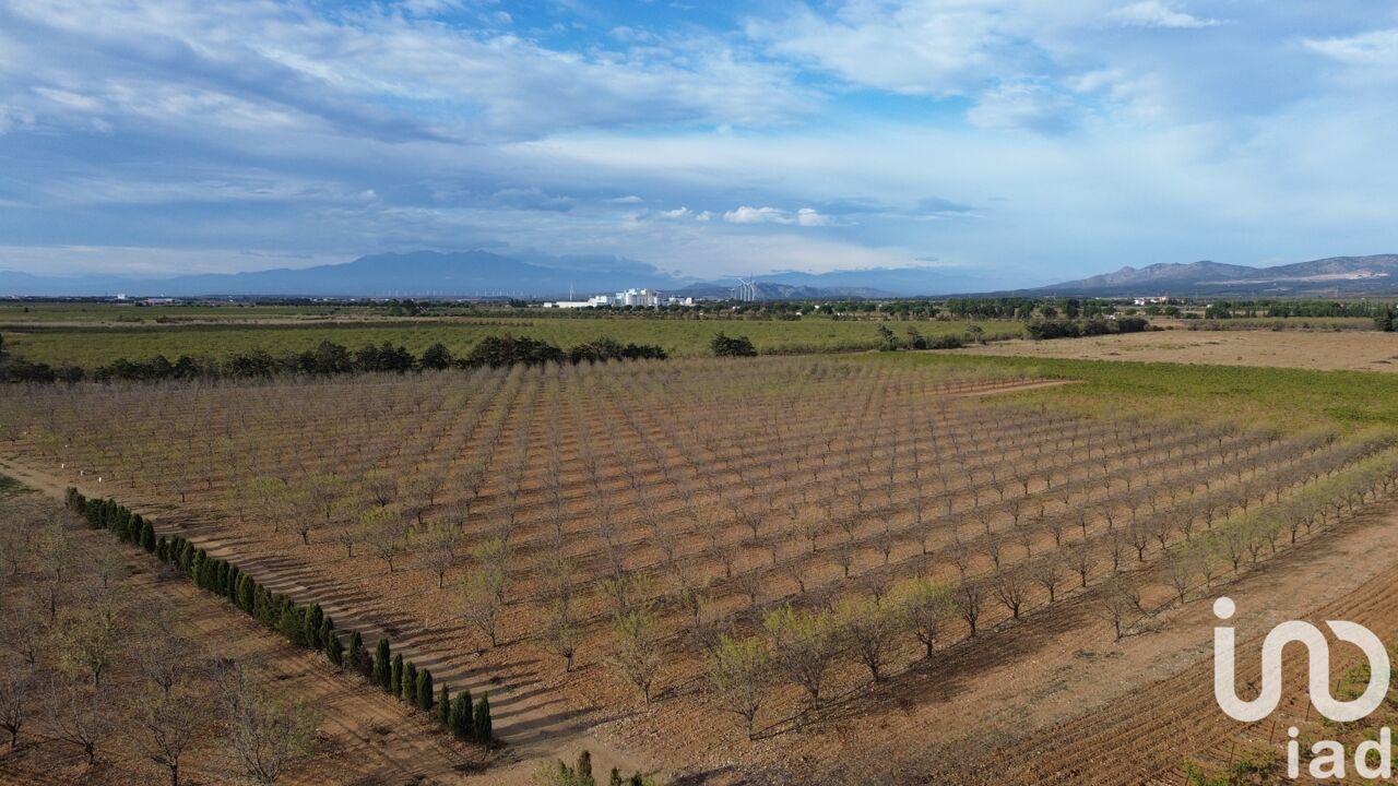 terrain  pièces 24624 m2 à vendre à Salses-le-Château (66600)