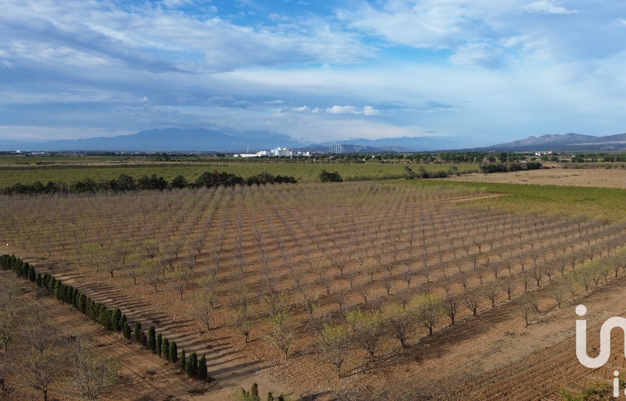 terrain  pièces 24624 m2 à vendre à Salses-le-Château (66600)