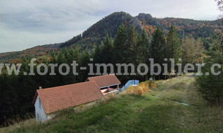 Photo N° 8