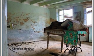 Photo N° 5