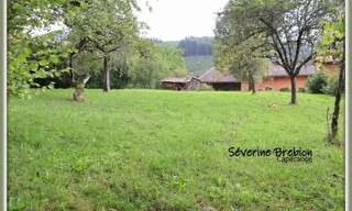 Photo N° 8