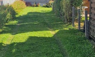 Photo N° 4
