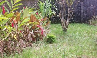 Photo N° 5