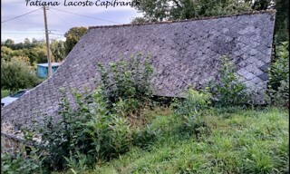 Photo N° 5