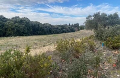 terrain  pièces 657 m2 à vendre à Lançon-Provence (13680)