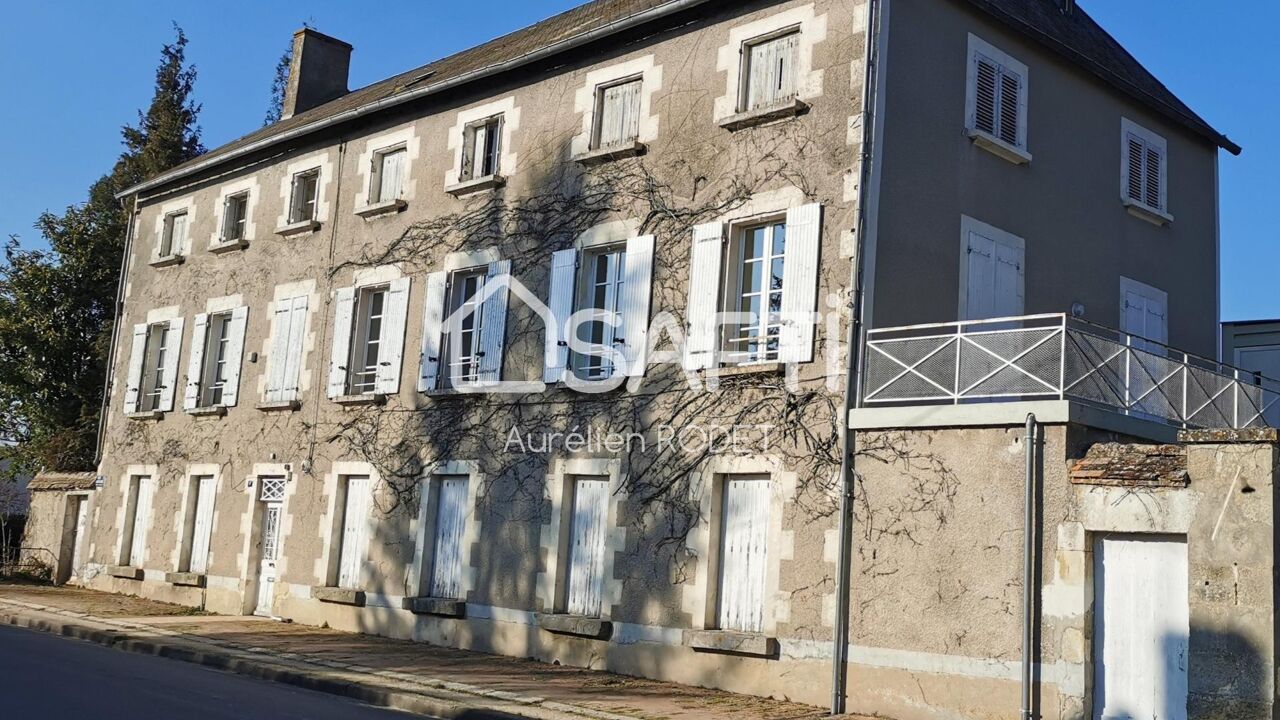 maison 18 pièces 365 m2 à vendre à Vatan (36150)