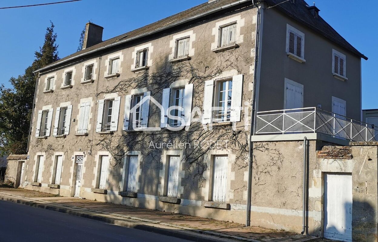 maison 18 pièces 365 m2 à vendre à Vatan (36150)