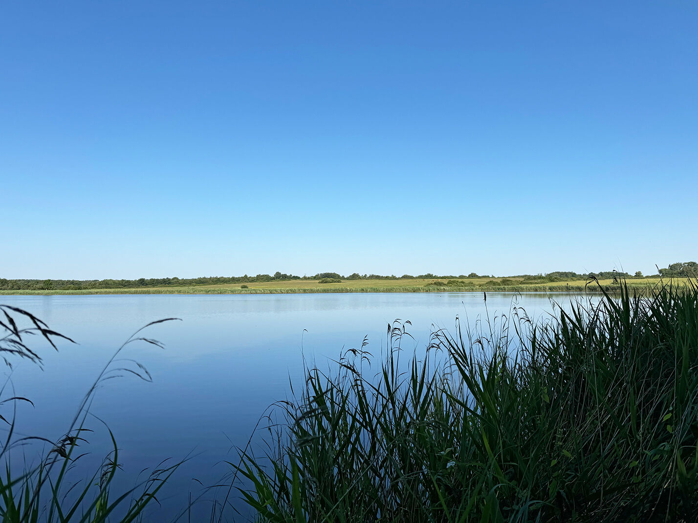 Territoire de  Pêche, Chasse & Agrément en Brenne 41 hectares