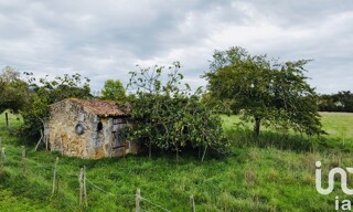 Photo N° 6