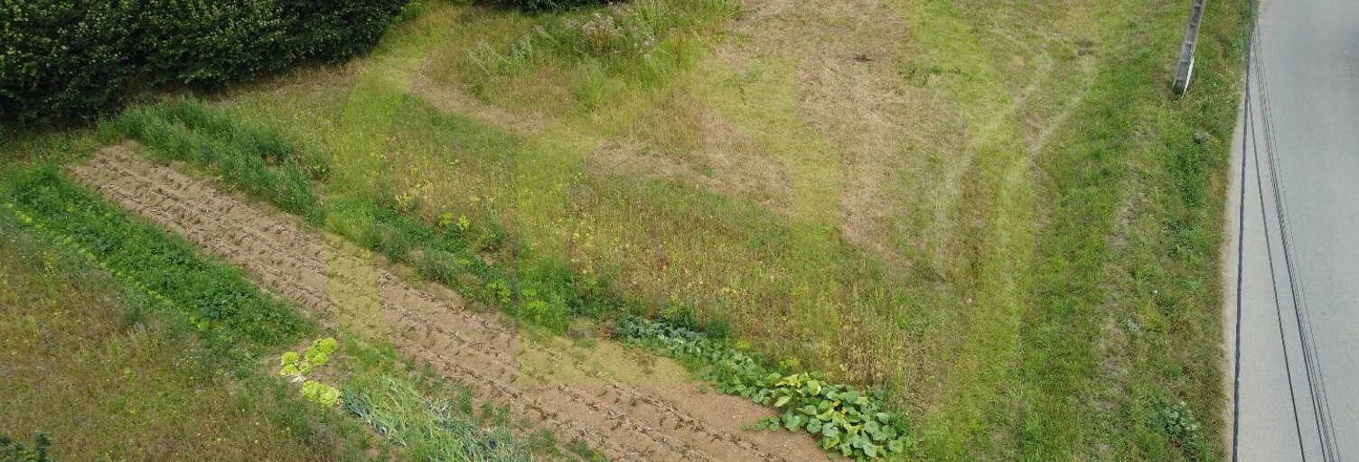 Terrain  849 m² à vendre à Plouisy (22200)