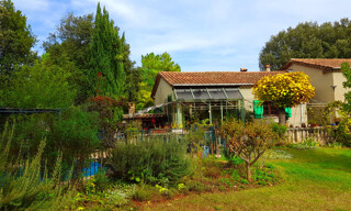 Photo N° 4