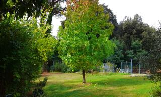 Photo N° 5