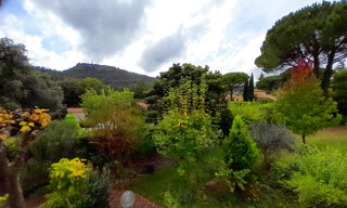 Photo N° 6