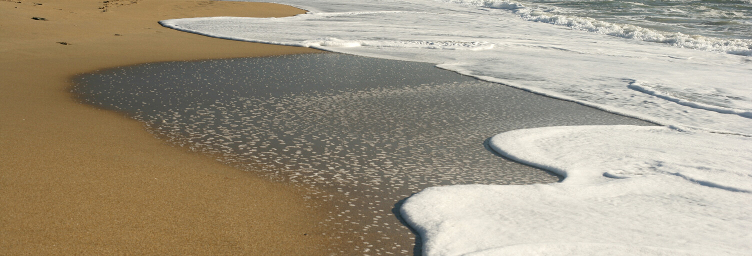 Divers  43 m² à vendre à Sète (34200)