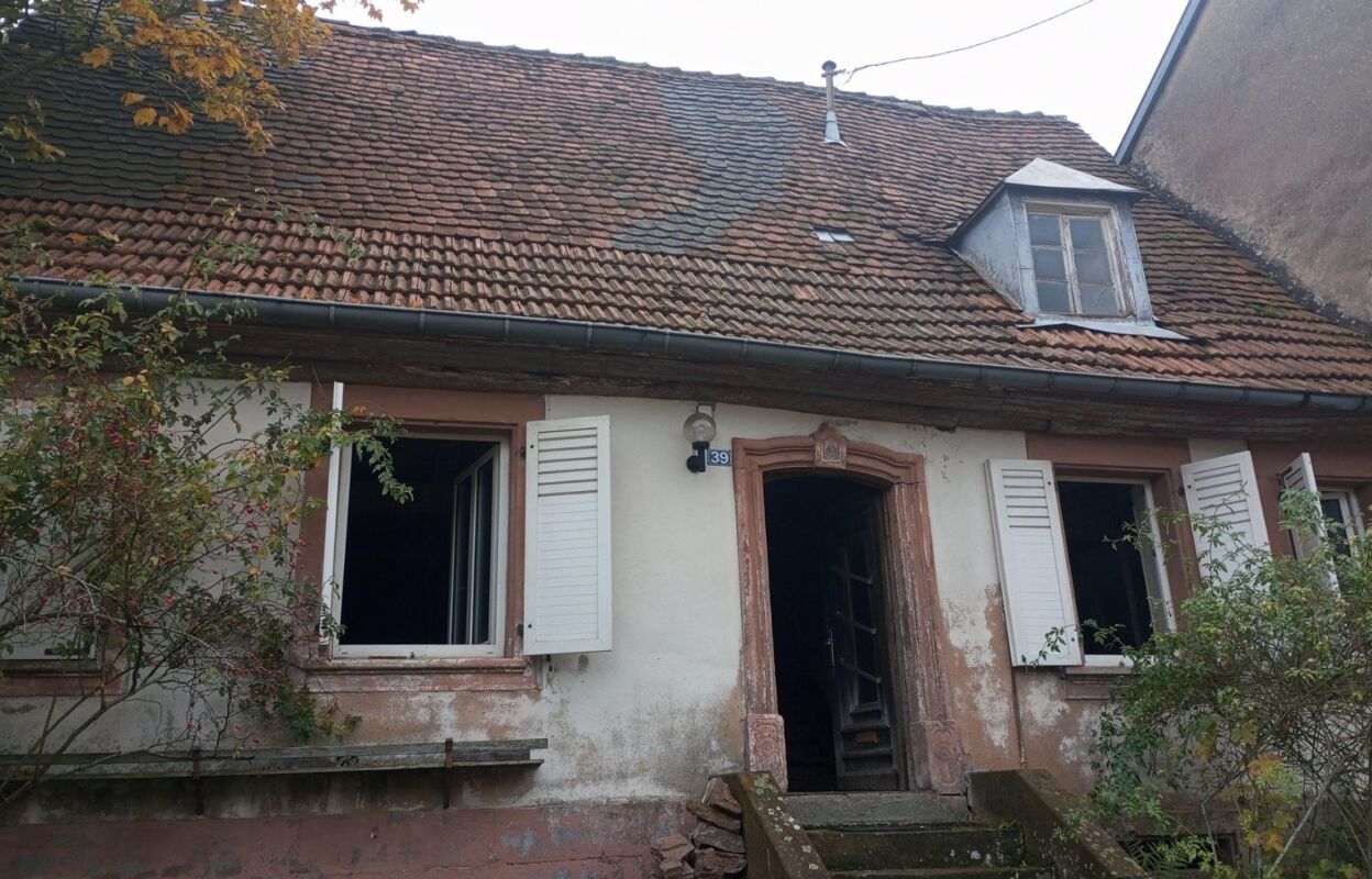 maison 5 pièces 100 m2 à vendre à Struth (67290)