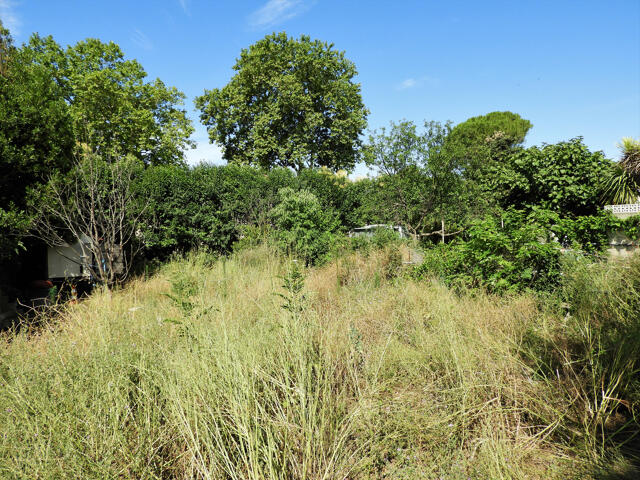 Terrain proposé à Saint-Jean-de-Védas