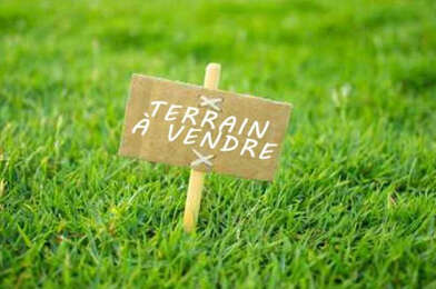 Terrain  44000 €
