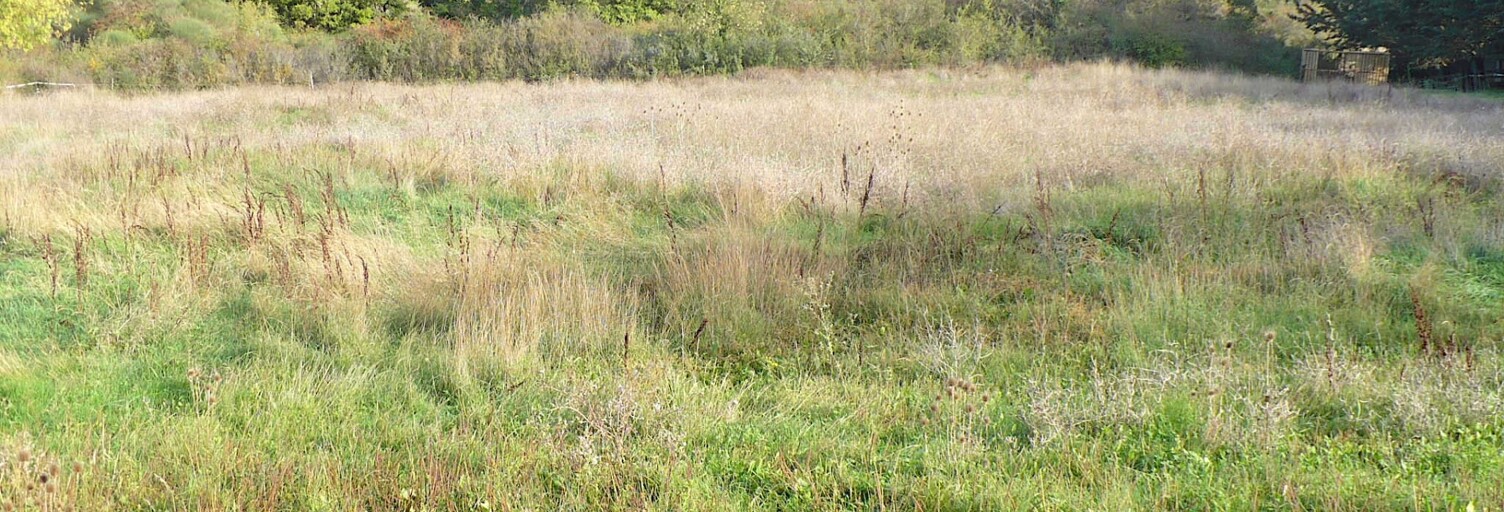 Terrain  851 m² à vendre à Pierrevert (04860)