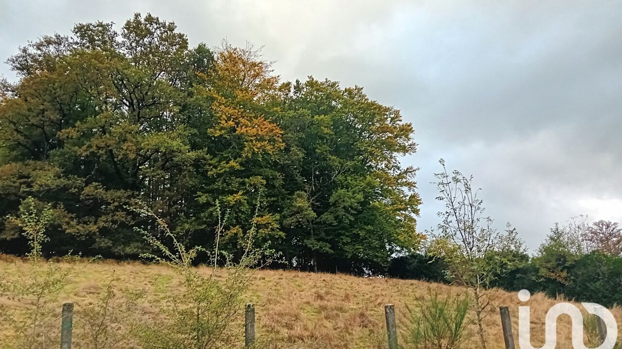 terrain  pièces 1786 m2 à vendre à Lafeuillade-en-Vézie (15130)