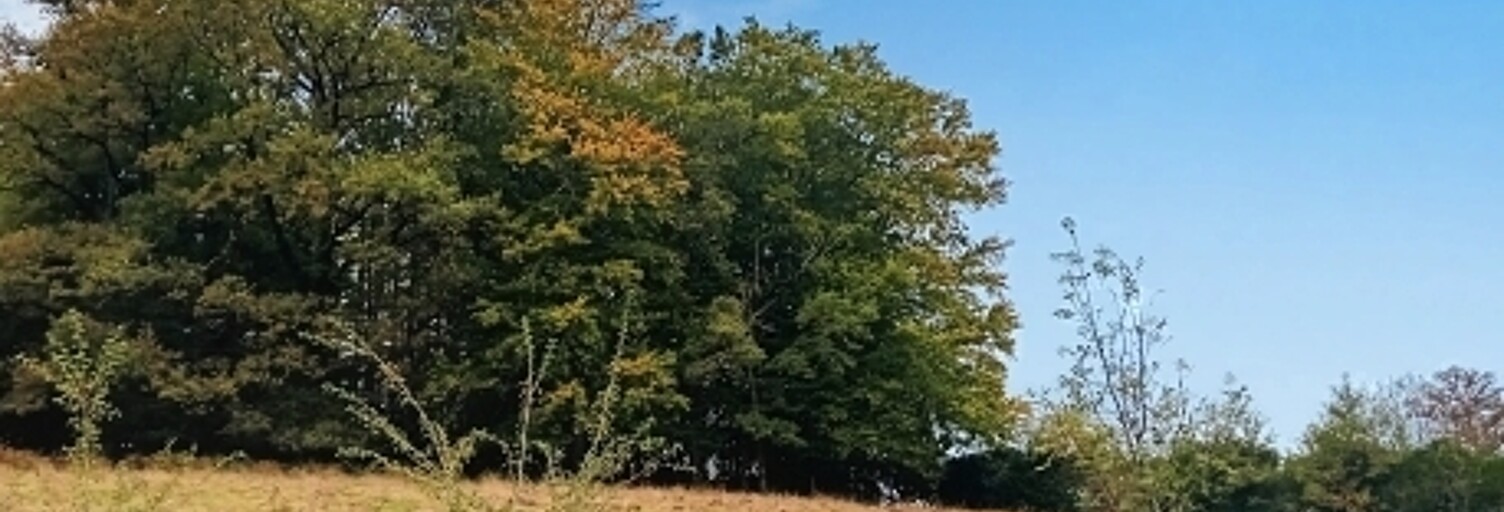 Terrain  1786 m² à vendre à Lafeuillade-en-Vézie (15130)