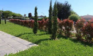 Photo N° 3