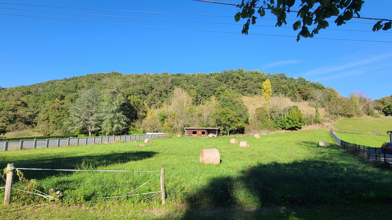 terrain  pièces 4000 m2 à vendre à Barbazan (31510)