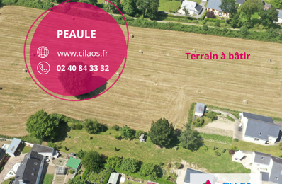 vente terrain 41 000 € à proximité de Saint-Gildas-de-Rhuys (56730)