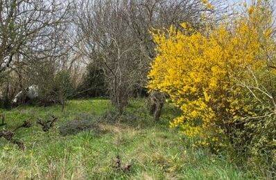 construire terrain 86 000 € à proximité de Caignac (31560)