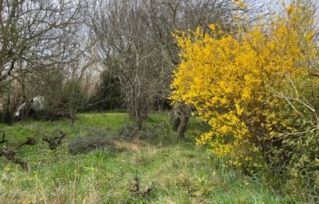 terrain 1120 m2 à construire à Villefranche-de-Lauragais (31290)