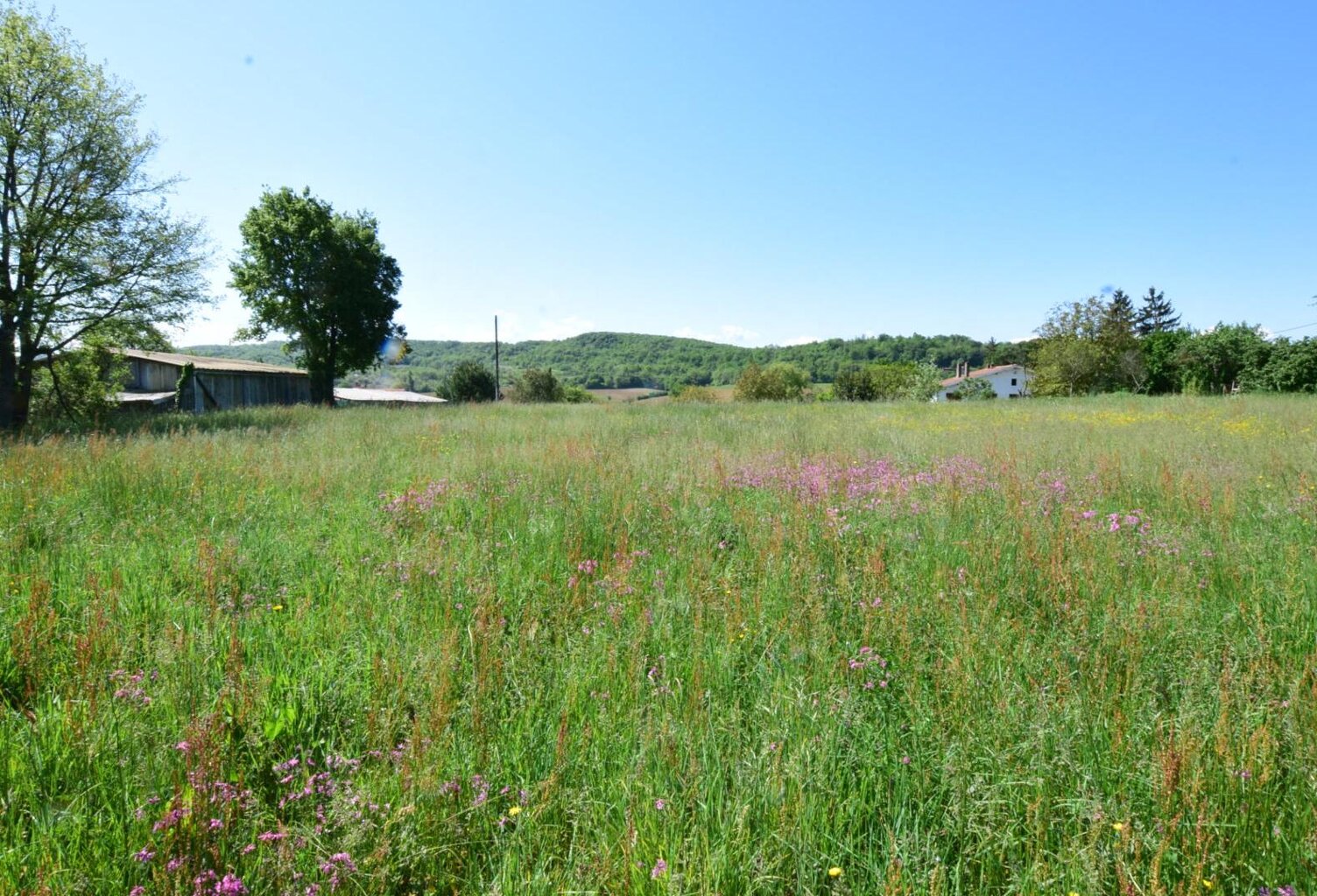 TERRAIN DE 2.446 M² BIEN EXPOSE SECTEUR 'PROCHE AURIGNAC'... — photo 1