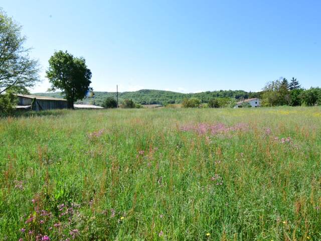 TERRAIN DE 2.446 M² BIEN EXPOSE SECTEUR 'PROCHE AURIGNAC'... — photo du bien
