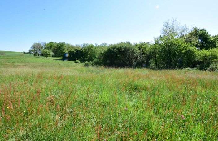 TERRAIN DE 2.446 M² BIEN EXPOSE SECTEUR 'PROCHE AURIGNAC'... — photo 3