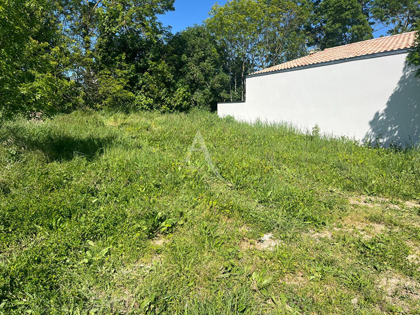 Terrain  à vendre Salles-sur-Mer 17220