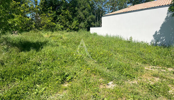 Terrain  à vendre Salles-sur-Mer 17220