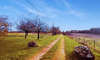 Photo N° 2