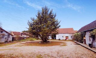 Photo N° 6