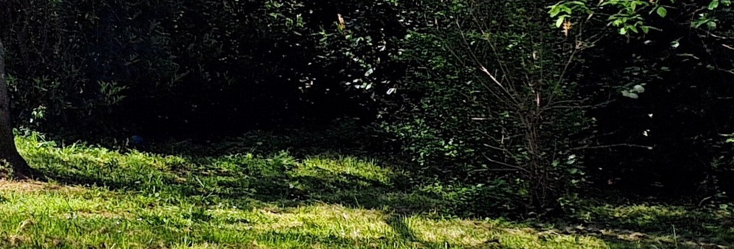 Terrain  4400 m² à vendre à Saint-Martin-de-Laye (33910)