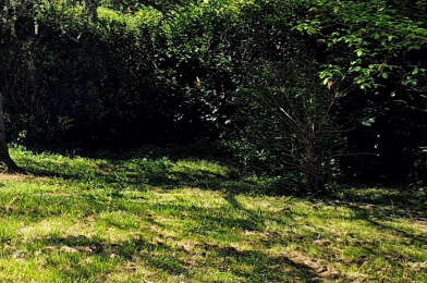 Terrain  130000 €