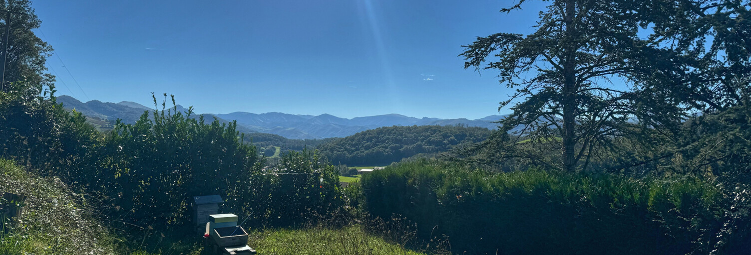 Maison 10 Pièces 238 m² à vendre à Saint-Jean-Pied-de-Port (64220)