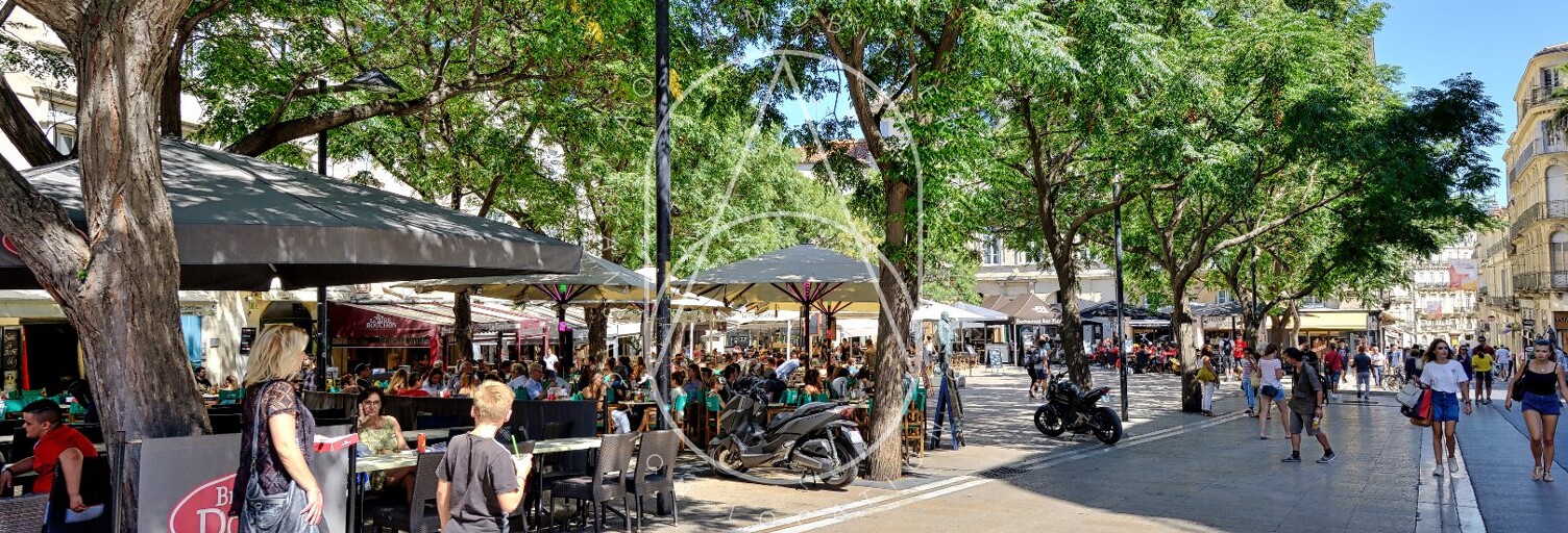 Commerce 3 Pièces 95 m² à vendre à Montpellier (34000)